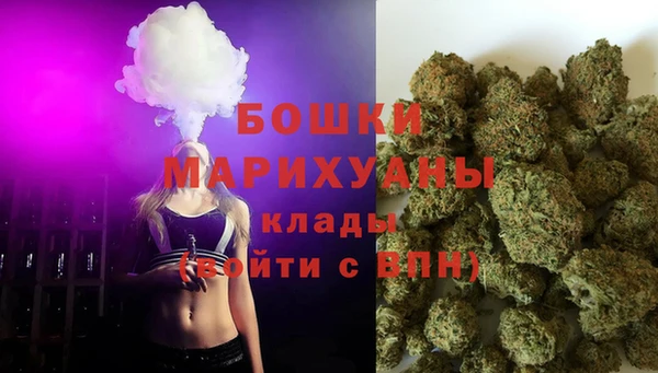 спайс Арсеньев
