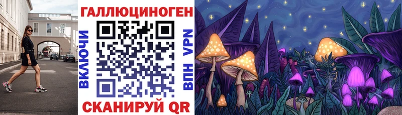 Псилоцибиновые грибы Cubensis  Киров 